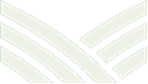 Terra logo